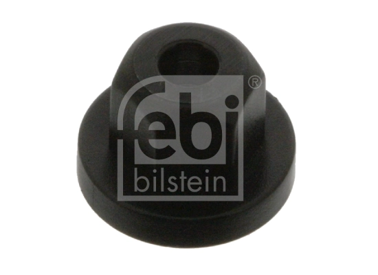 Clip, trim/protection strip